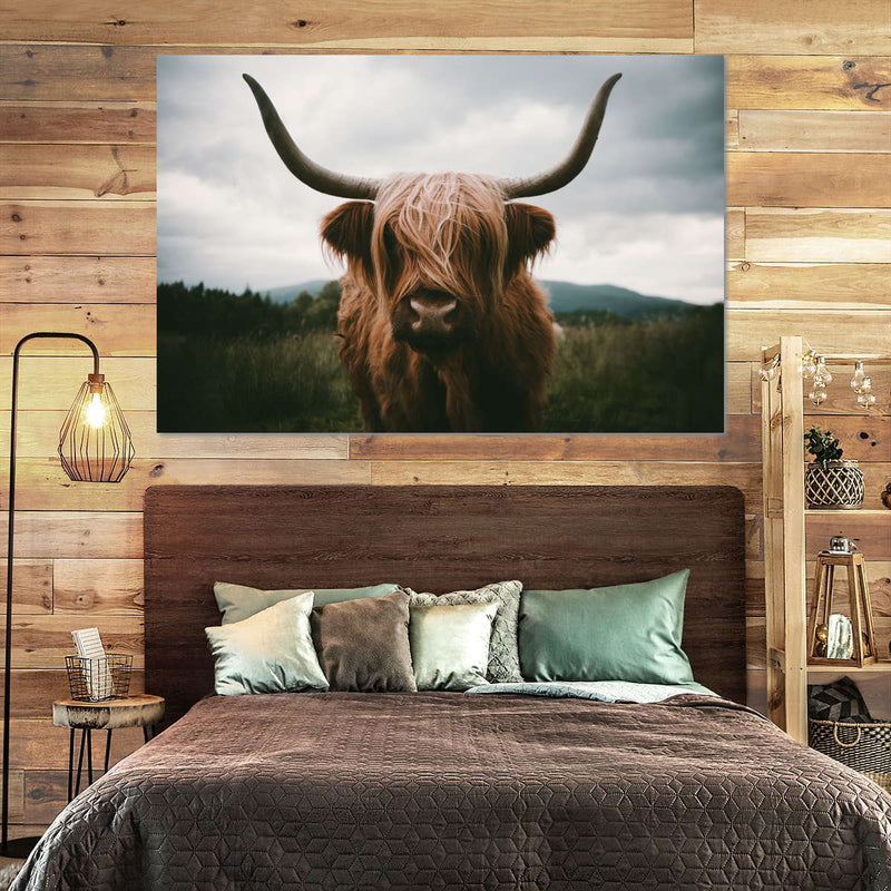 Open Field Highland Cow Wall Art