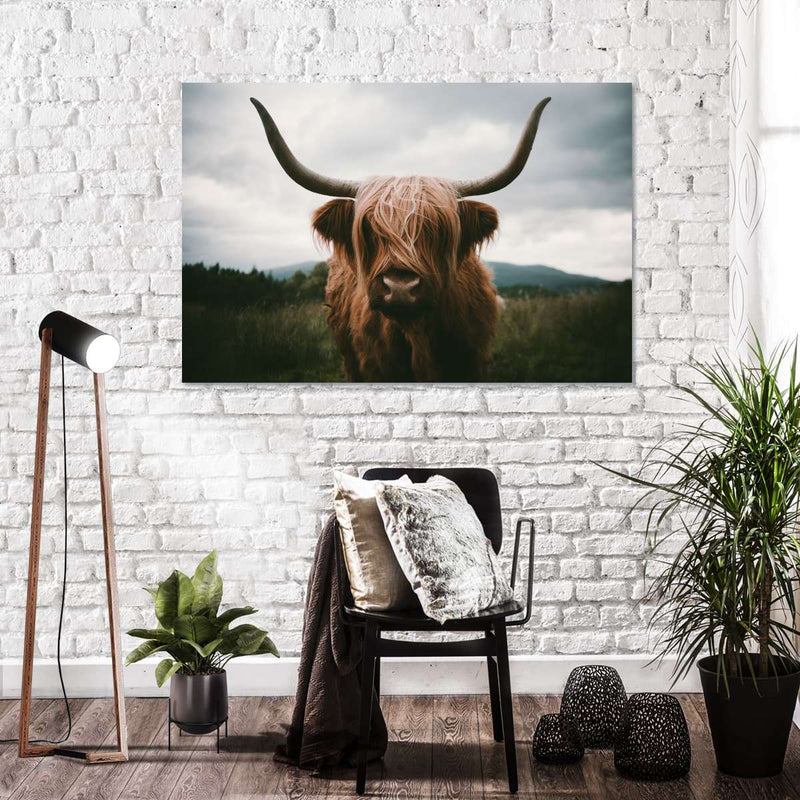 Open Field Highland Cow Wall Art