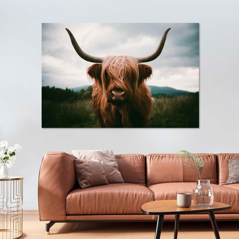 Open Field Highland Cow Wall Art