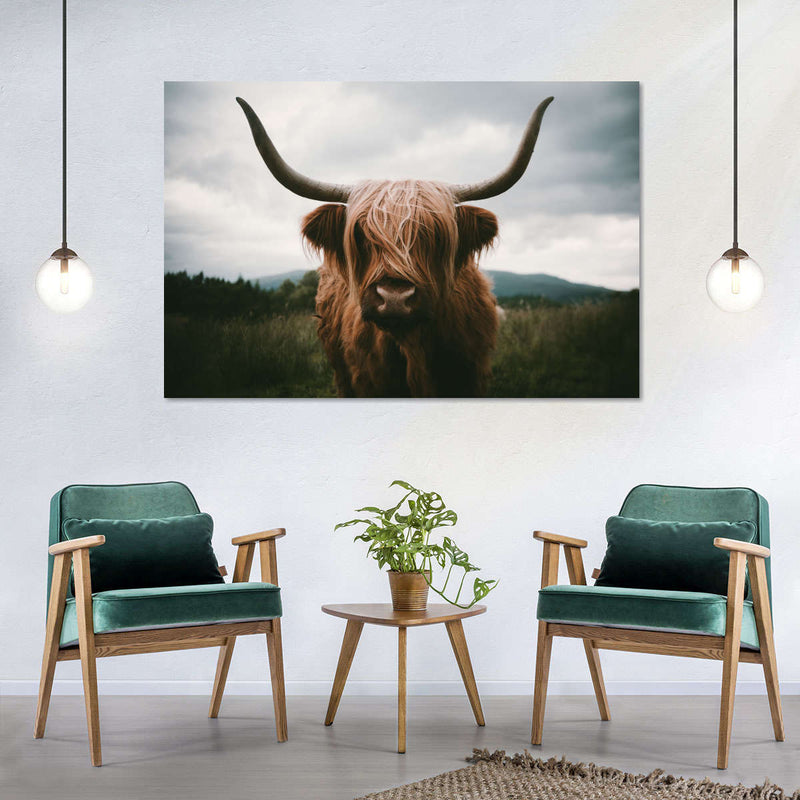 Open Field Highland Cow Wall Art