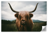 Open Field Highland Cow Wall Art