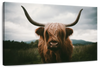 Open Field Highland Cow Wall Art