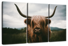 Open Field Highland Cow Wall Art