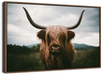 Open Field Highland Cow Wall Art