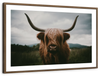Open Field Highland Cow Wall Art