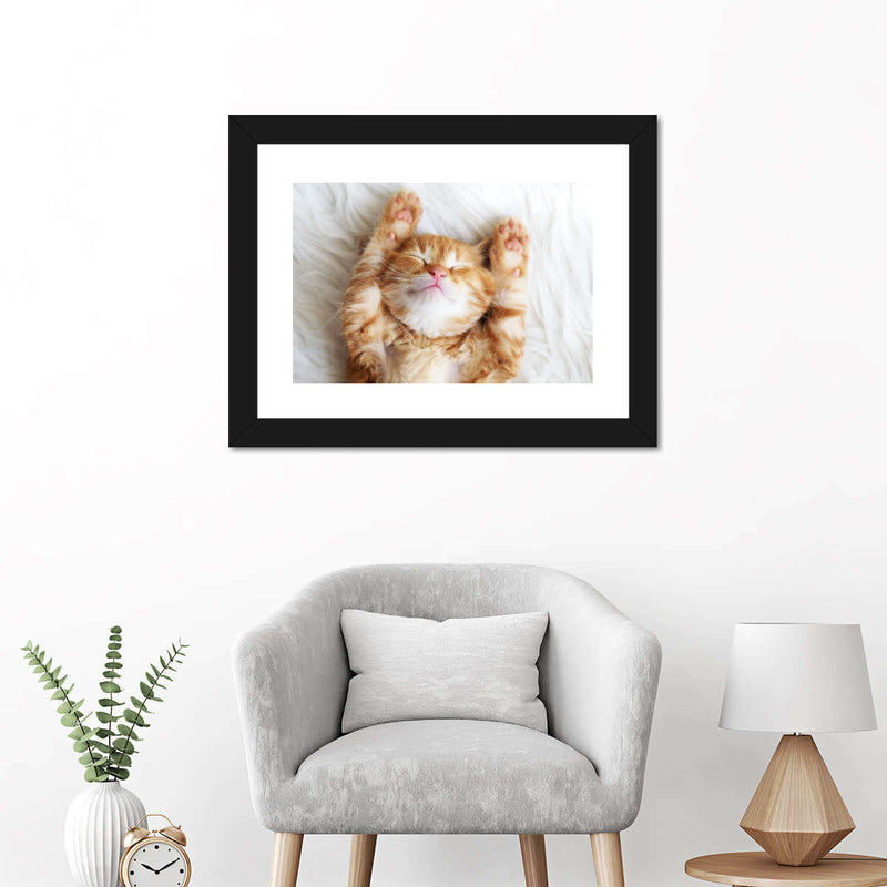 Sleepy Kitty Wall Art
