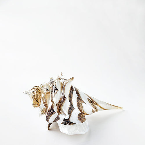 White and amber glass seashell decor.