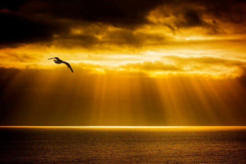 Golden Ocean Sky Wall Art