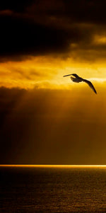 Golden Ocean Sky Wall Art