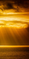 Golden Ocean Sky Wall Art