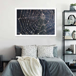 Spider Web Wall Art