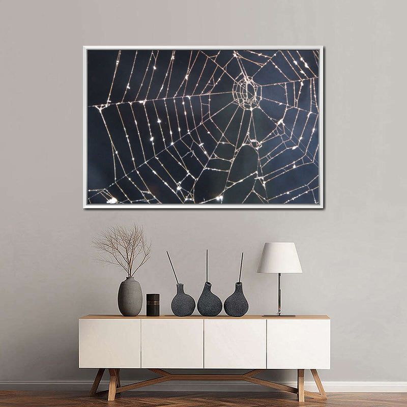 Spider Web Wall Art