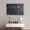 Spider Web Wall Art