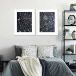 Spider Web Wall Art