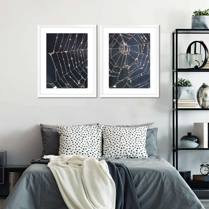 Spider Web Wall Art