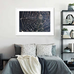 Spider Web Wall Art