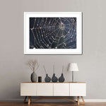 Spider Web Wall Art