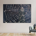Spider Web Wall Art
