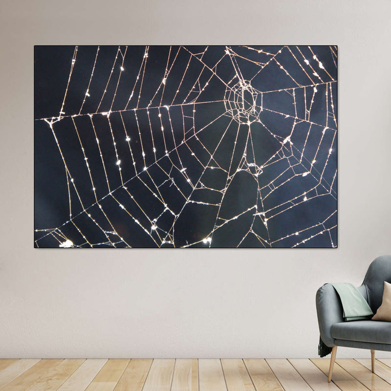 Spider Web Wall Art