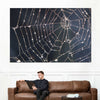 Spider Web Wall Art