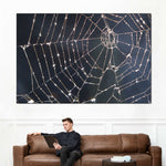 Spider Web Wall Art