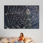 Spider Web Wall Art