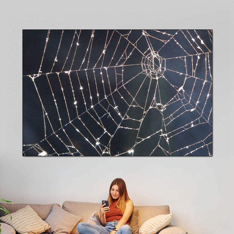 Spider Web Wall Art