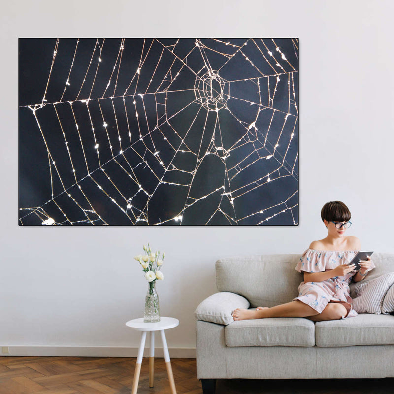 Spider Web Wall Art