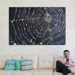 Spider Web Wall Art