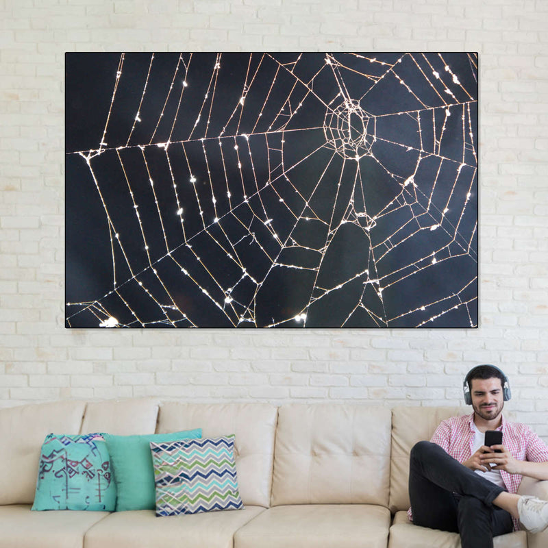 Spider Web Wall Art