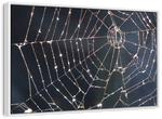 Spider Web Wall Art