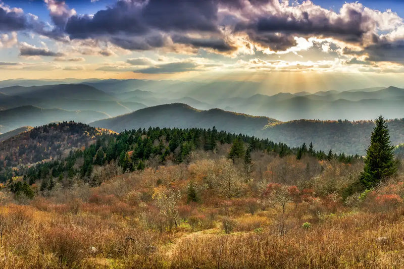 Great Smoky Mountains National Park Wall Art