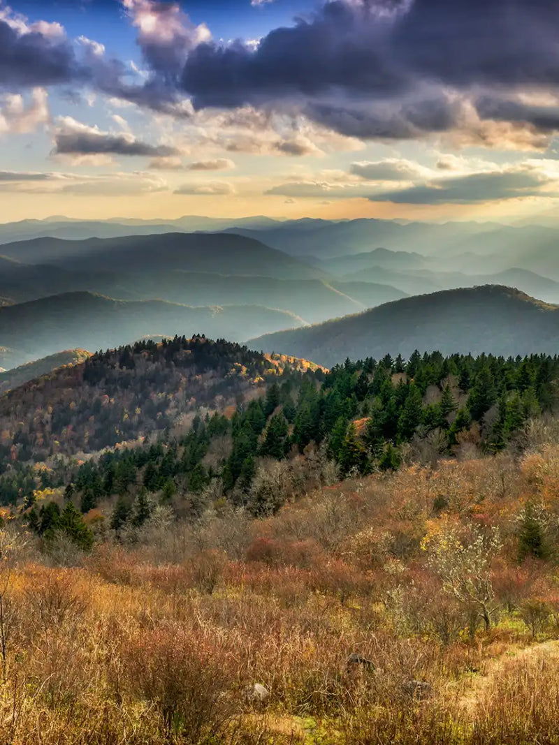 Great Smoky Mountains National Park Wall Art