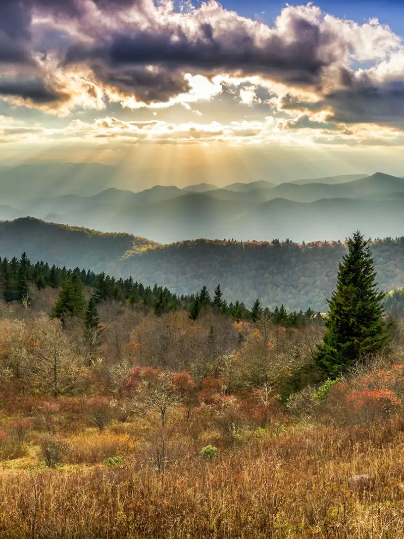 Great Smoky Mountains National Park Wall Art
