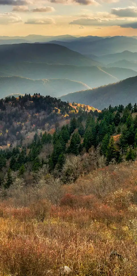 Great Smoky Mountains National Park Wall Art