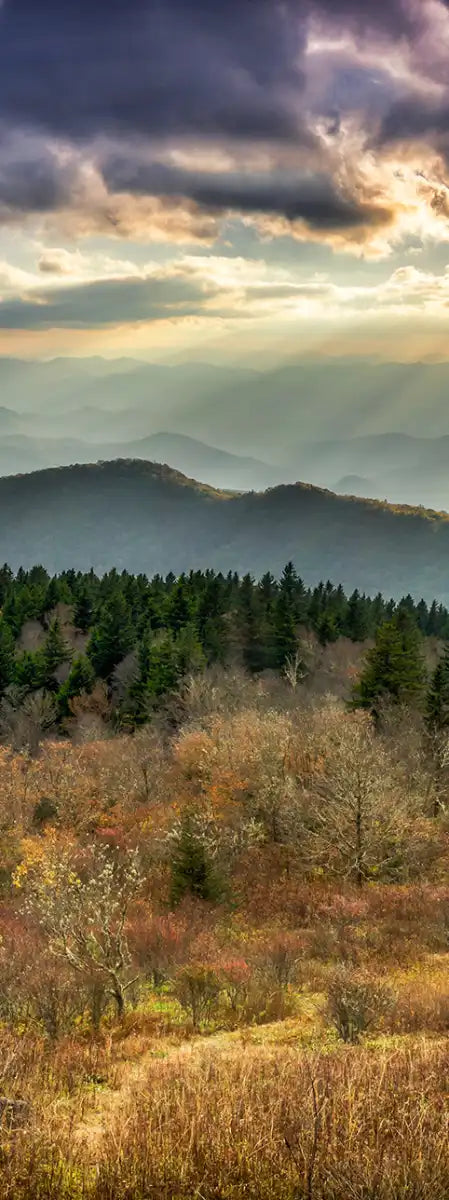 Great Smoky Mountains National Park Wall Art