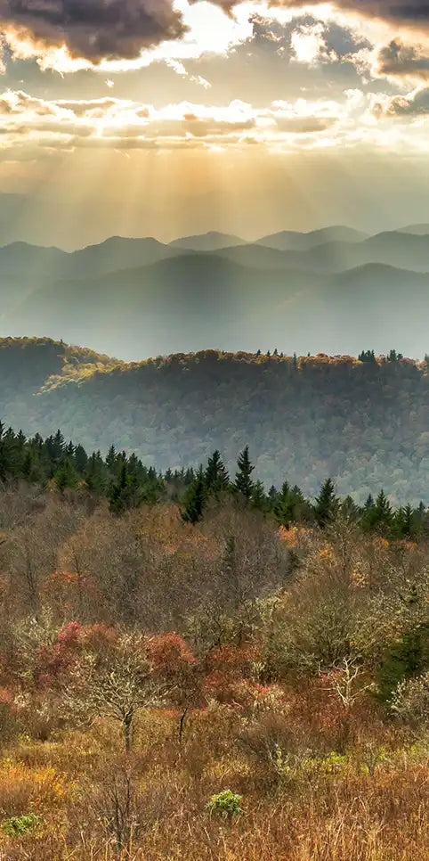 Great Smoky Mountains National Park Wall Art