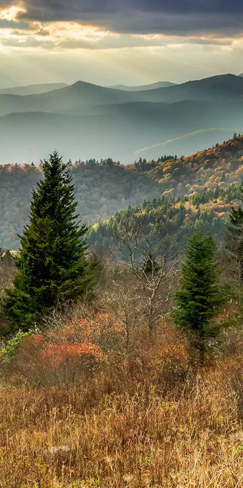 Great Smoky Mountains National Park Wall Art