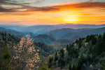 Great Smoky Mountains Sunrise Wall Art