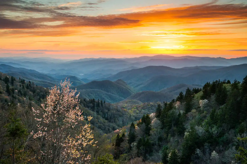 Great Smoky Mountains Sunrise Wall Art