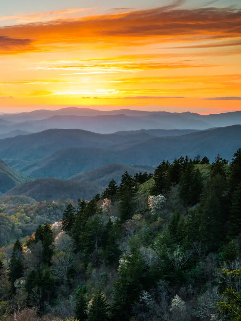 Great Smoky Mountains Sunrise Wall Art