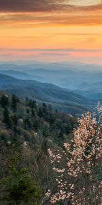 Great Smoky Mountains Sunrise Wall Art