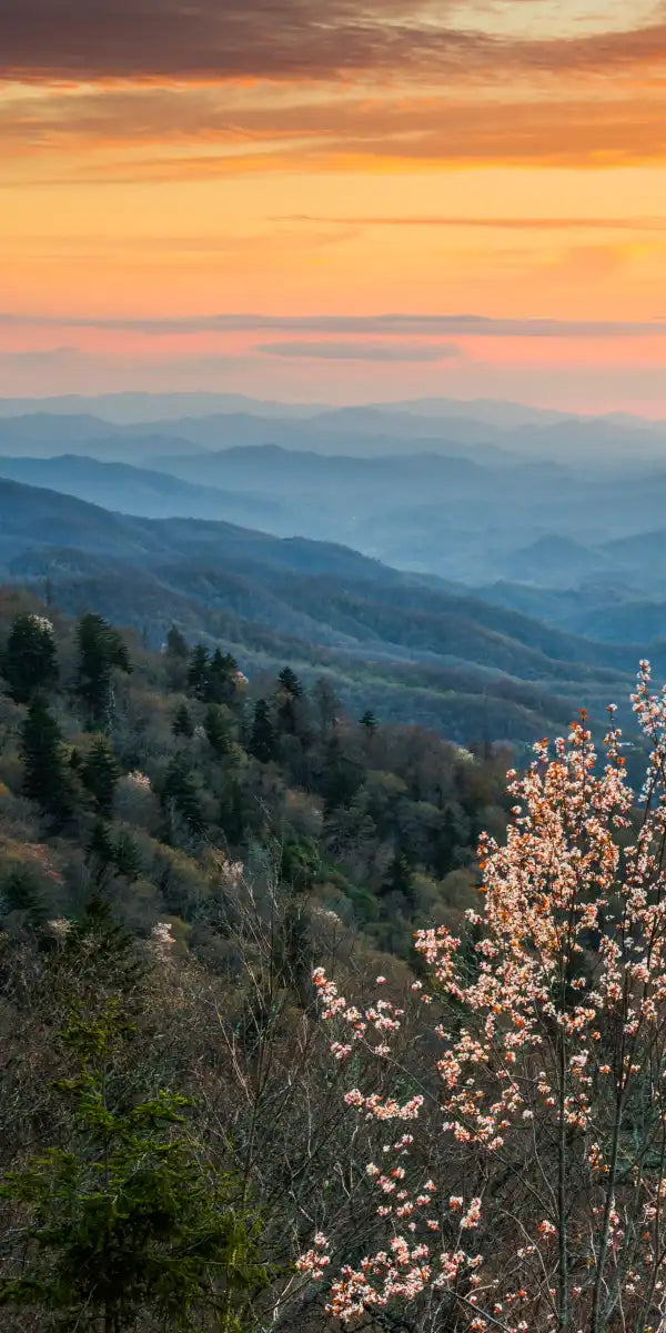 Great Smoky Mountains Sunrise Wall Art