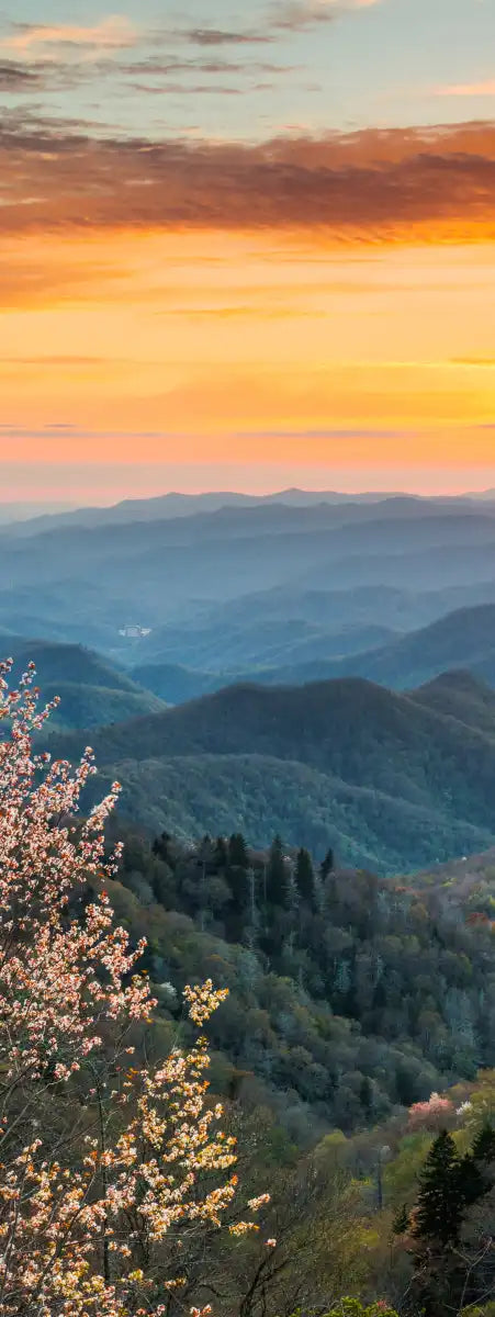 Great Smoky Mountains Sunrise Wall Art