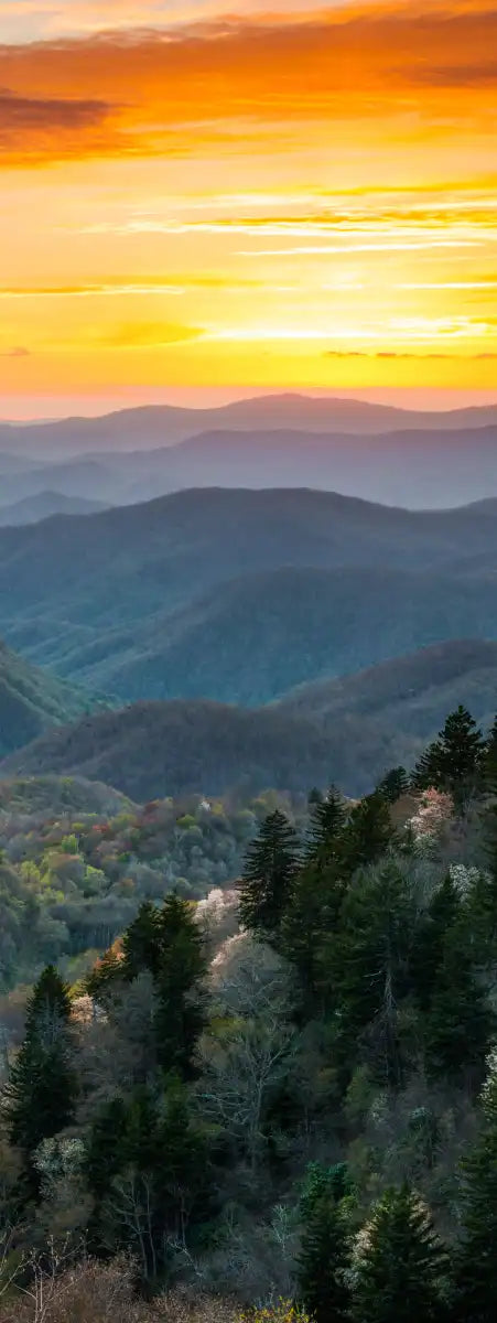 Great Smoky Mountains Sunrise Wall Art