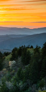 Great Smoky Mountains Sunrise Wall Art
