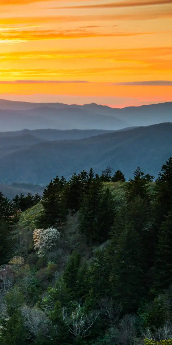 Great Smoky Mountains Sunrise Wall Art