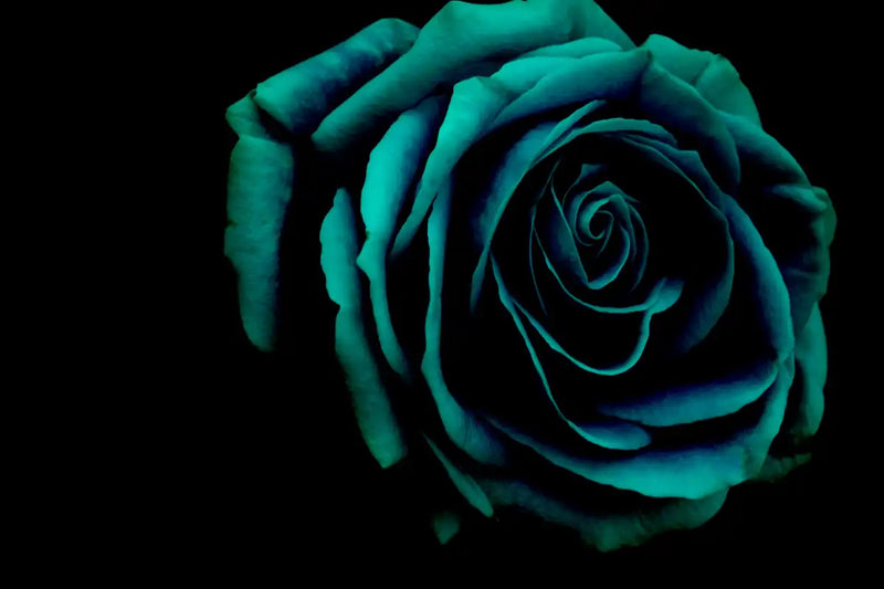 Green Flower Wall Art