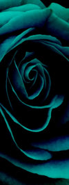 Green Flower Wall Art