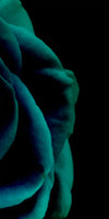 Green Flower Wall Art
